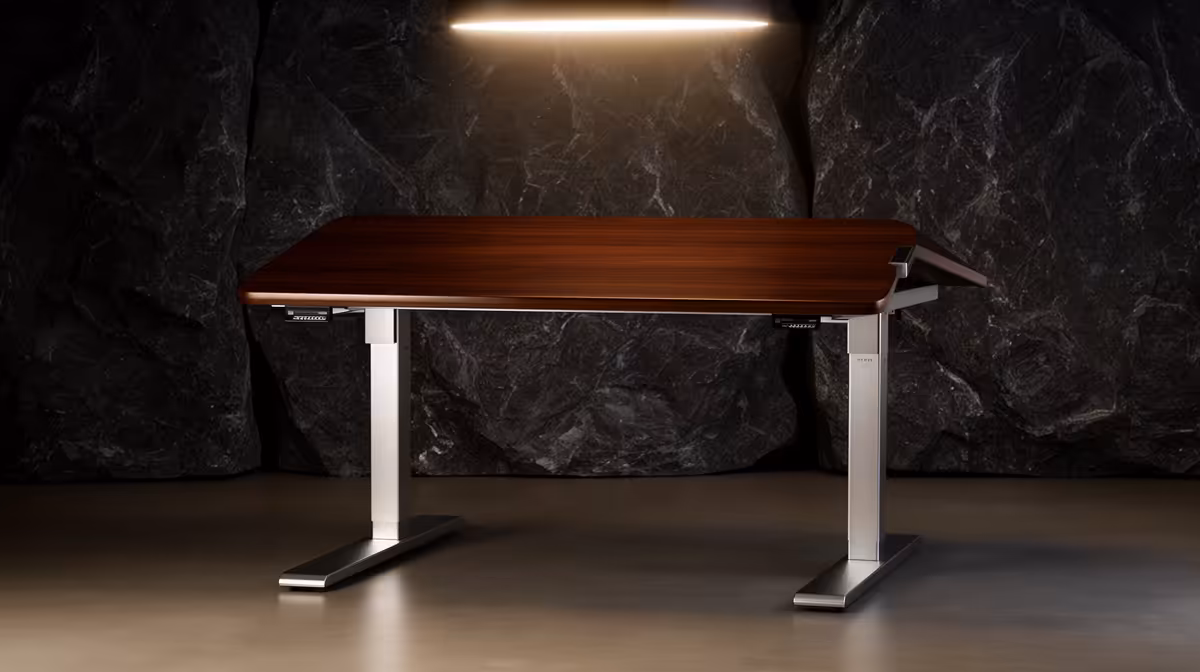 Standing Desk Actually Worth Buying for Web Development