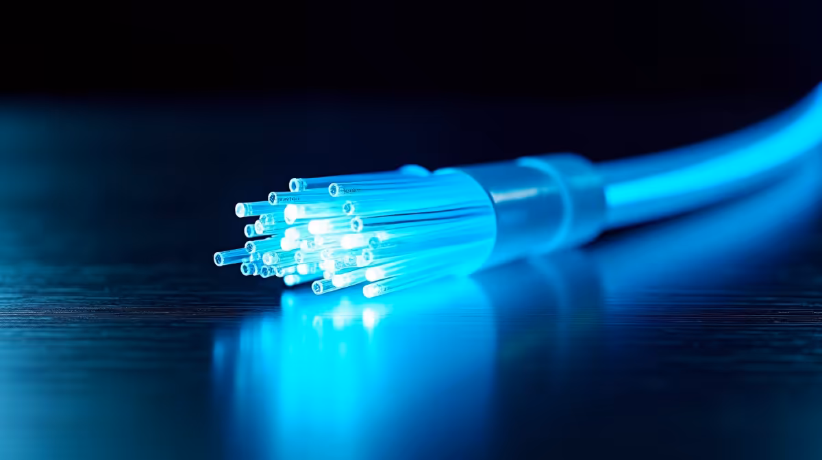 Network Price Trends SA: Q3