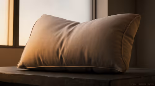 Oversized Lumbar Pillow Upgrade: Aftermarket Test