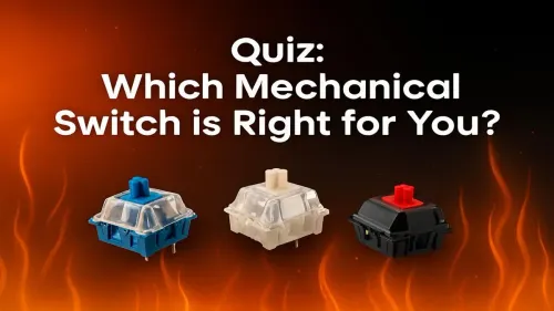 Which Mechanical Switch is Right for You? Take Our Quiz!