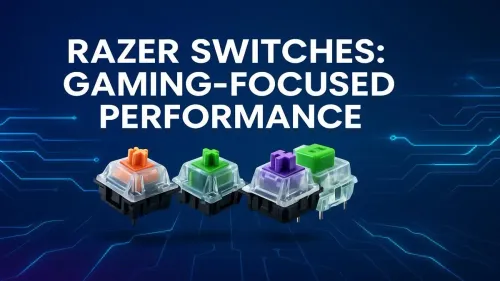 Your Guide to Razer Switches