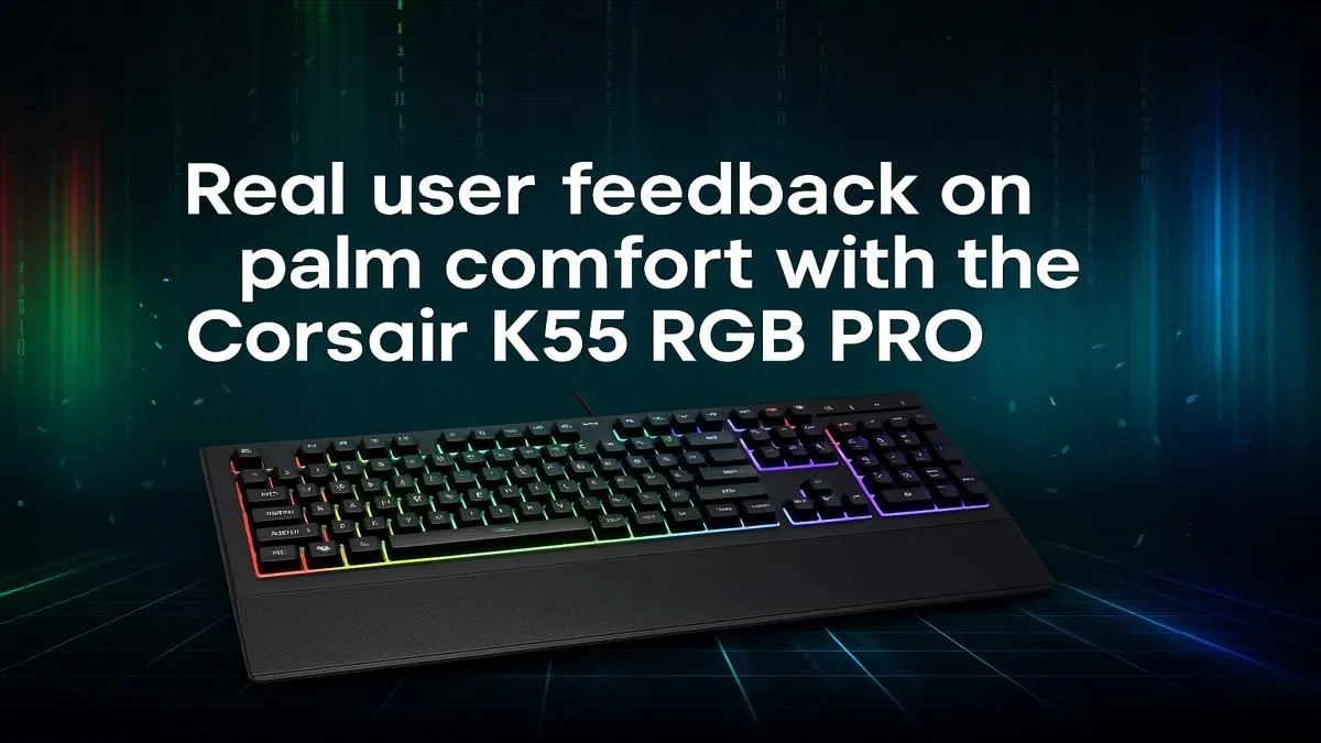 User Insights on K55 RGB PRO Palm Comfort