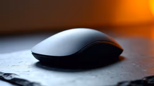 SA Mouse Availability Watch: December 2026