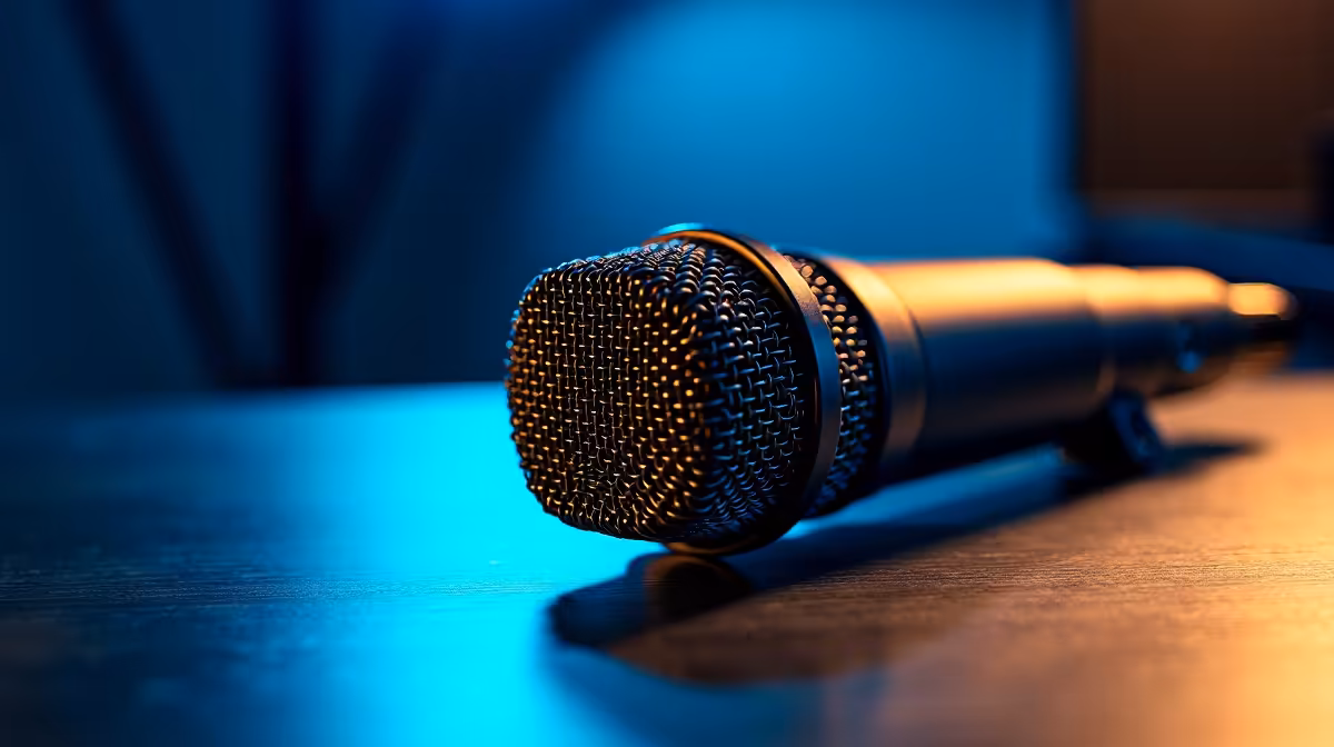 Cautious notes for Studio Microphone Short List For Edenvale