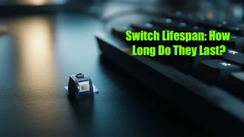 Keyboard Switch Lifespan: How Many Clicks Do They Really Last?