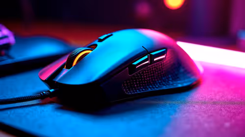 The Complete 2026 Guide to Mouse in South Africa