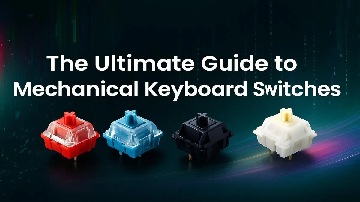 Your Guide to Keyboard Switches