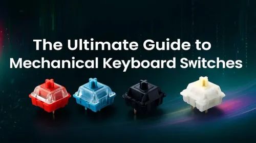 Mechanical Keyboard Switches: The Ultimate Guide to Finding Your Type