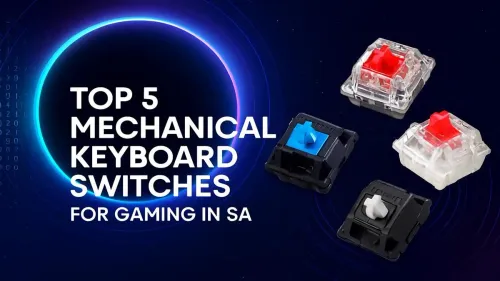 Best Mechanical Keyboard Switches for Gaming in SA (Top 5 Picks)