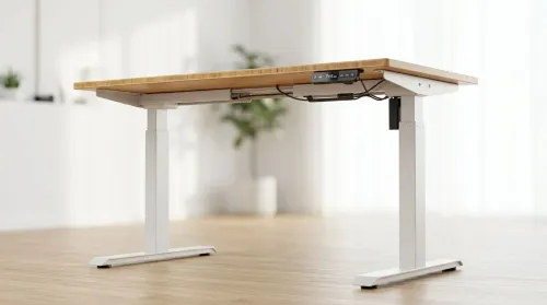 Standing Desk Price Differences in SA: Frame Quality vs Features