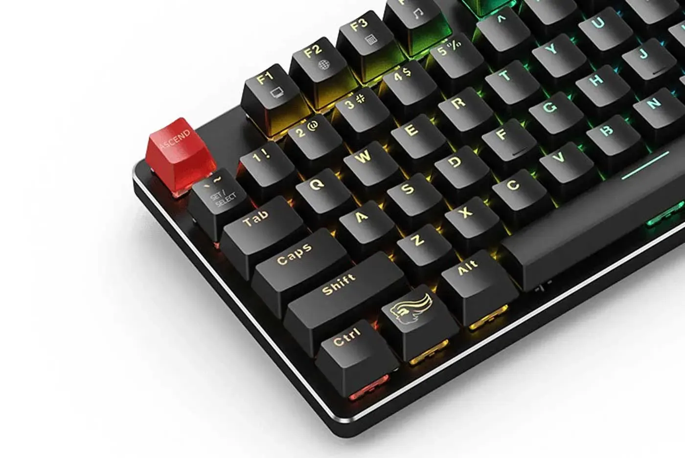 Removable mechanical switches being fitted to the GMMK Compact